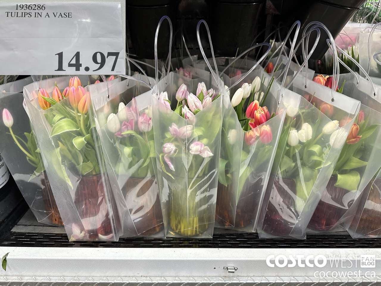 1936286 TULIPS IN A VASE $14.97