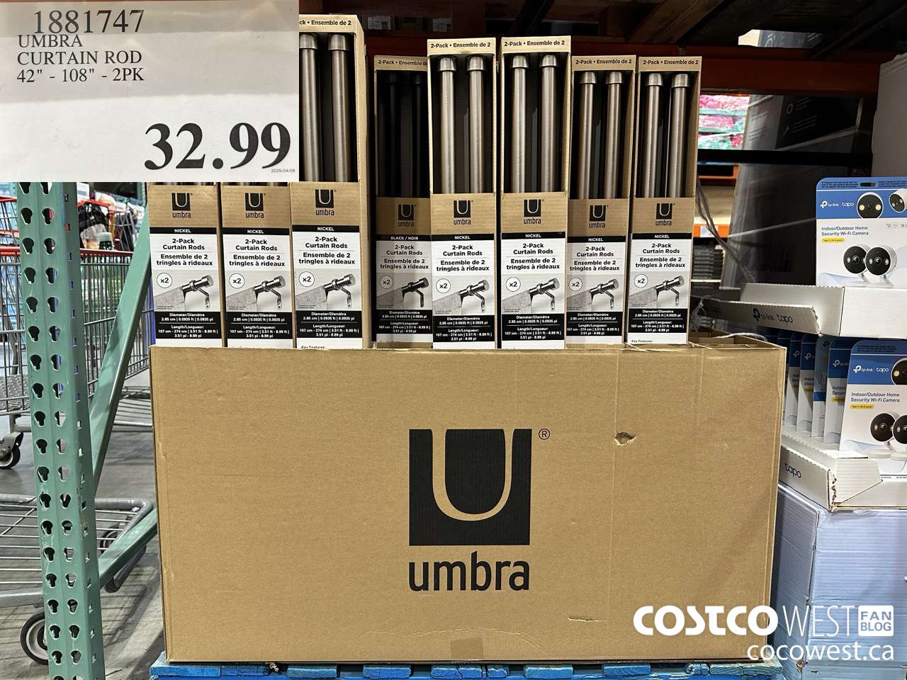 1881747 UMBRA CURTAIN ROD 42