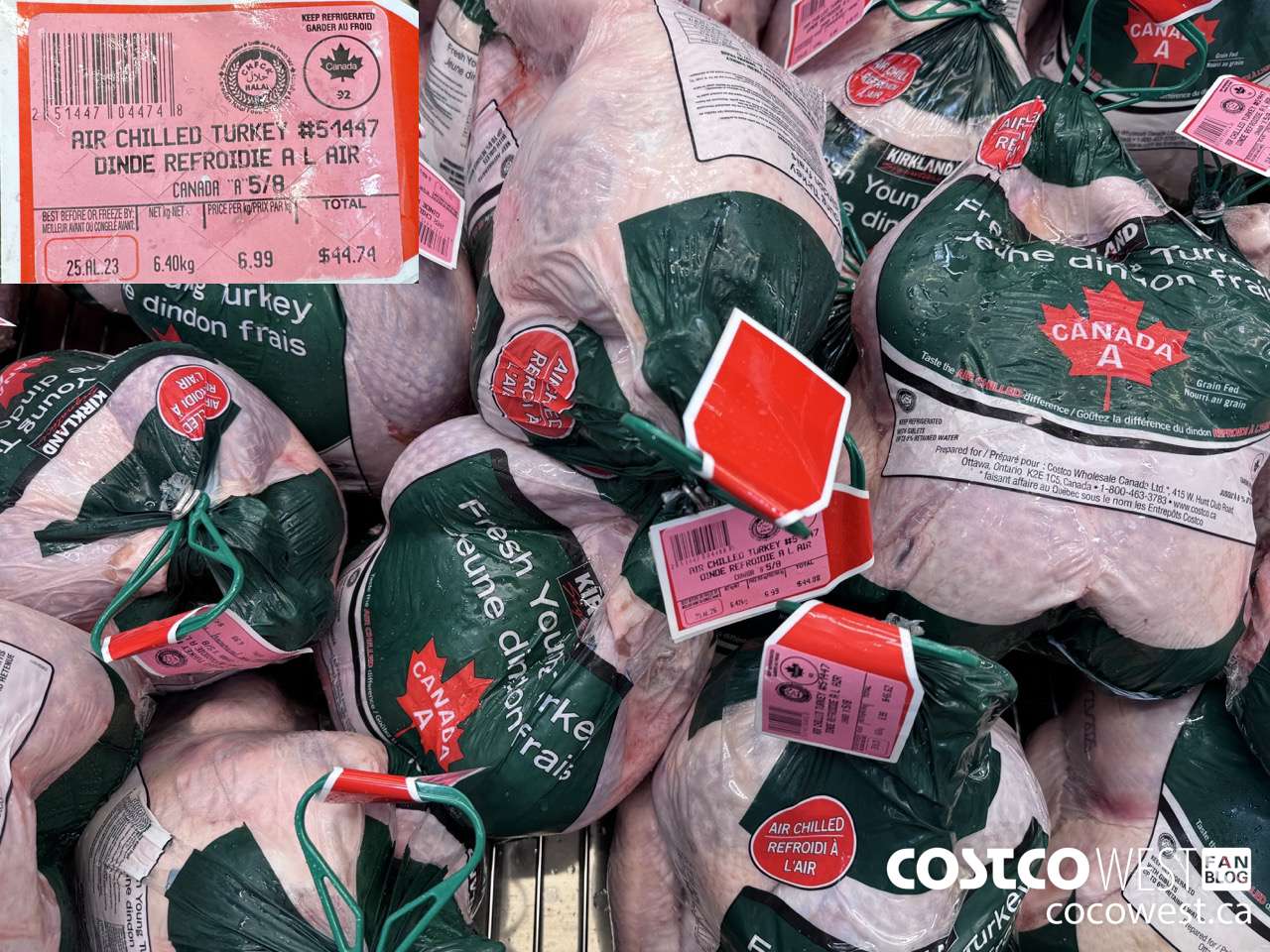 51447 WHOLE TURKEY GRADE A AIR CHILLED 5-7 KG $6.99