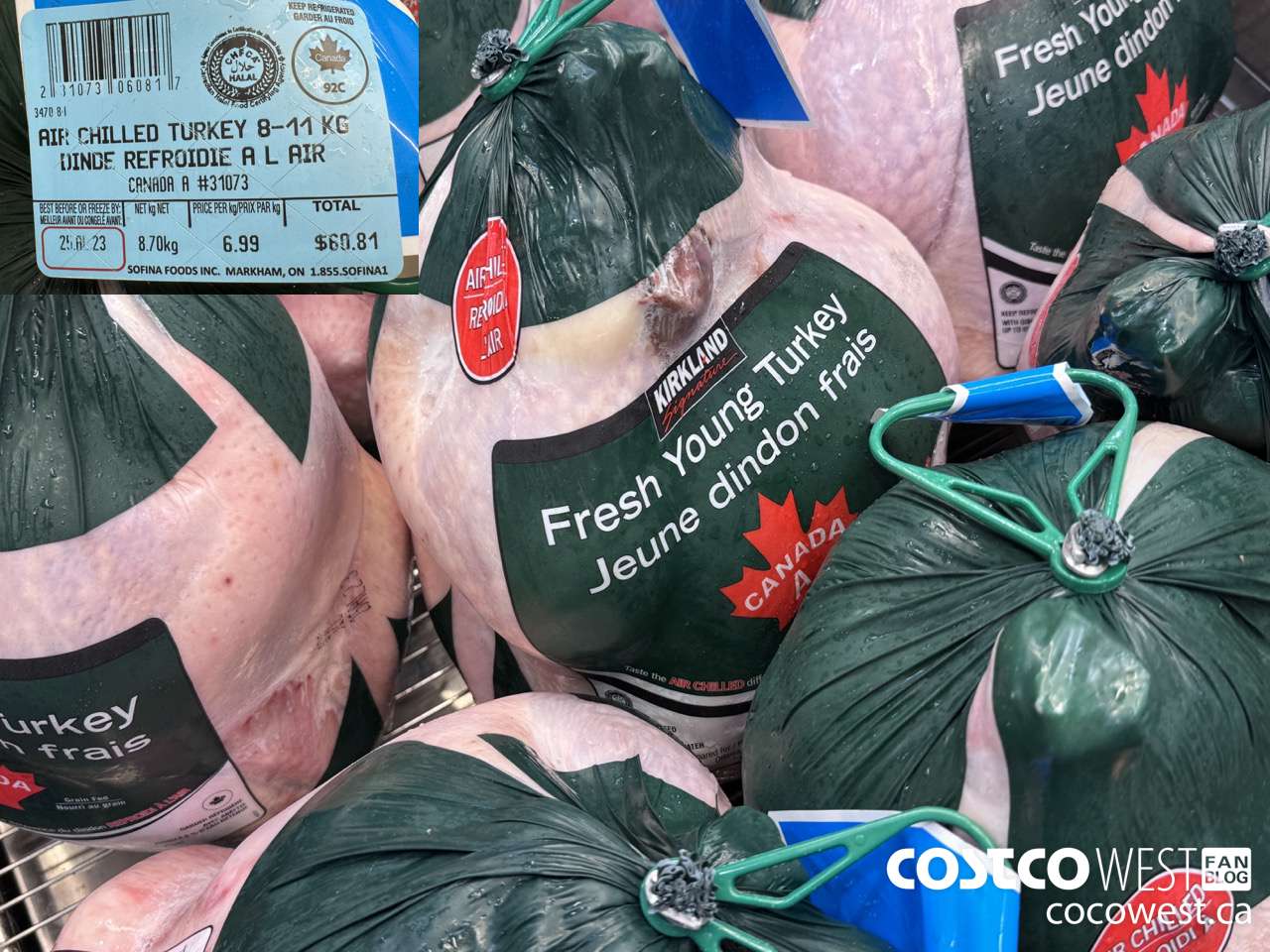 31073 WHOLE TURKEY GRADE A AIR CHILLED 7-11KG $6.99