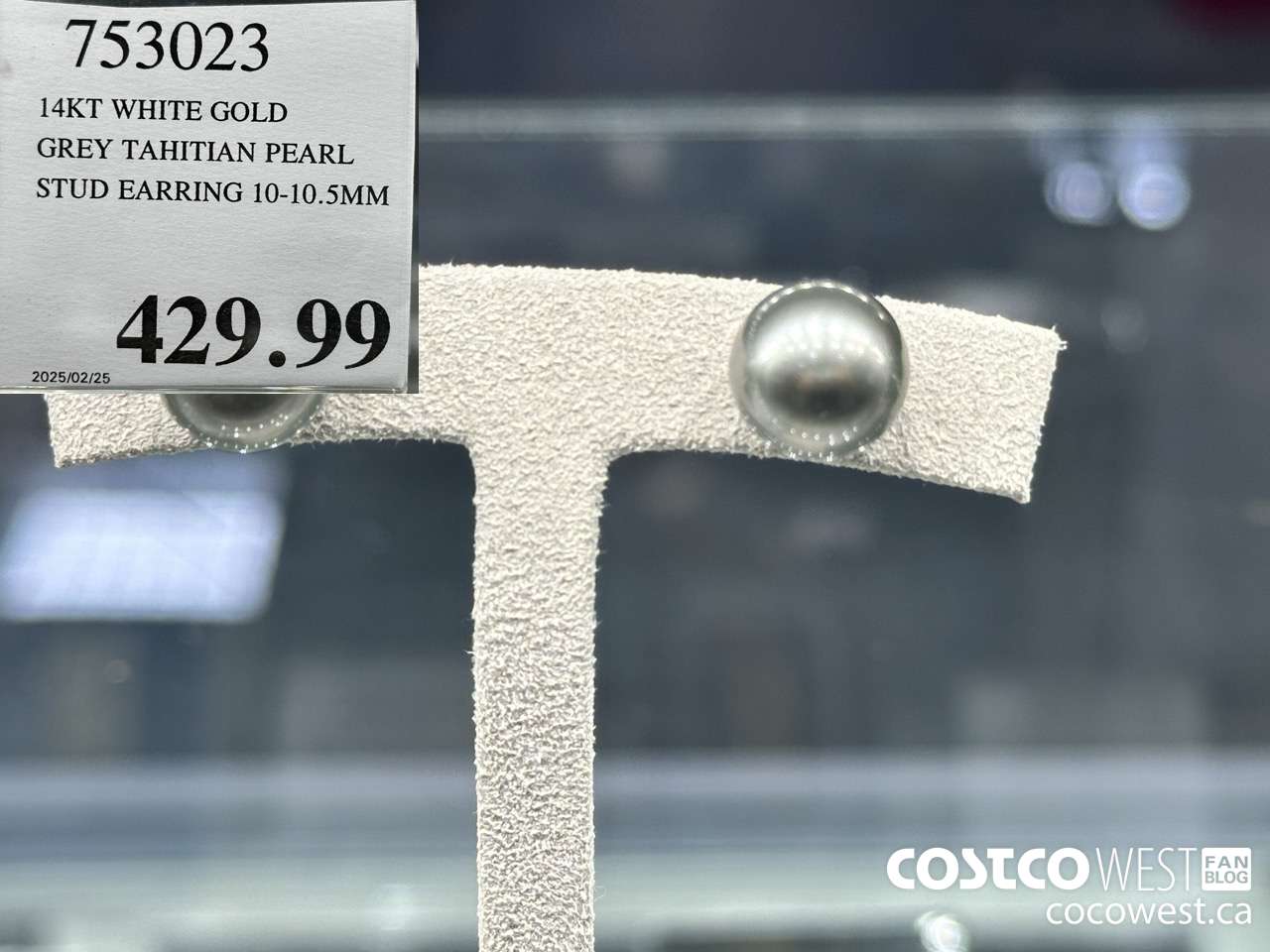 753023 14KT WHITE GOLD GREY TAHITIAN PEARL STUD EARRING 10-10.5MM $429.99