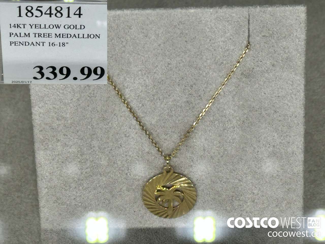 1854814 14KT YELLOW GOLD PALM TREE MEDALLION PENDANT 16-18