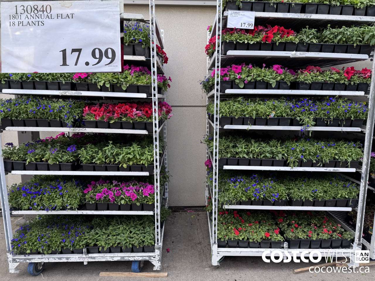130840 1801 ANNUAL FLAT 18 PLANTS $17.99