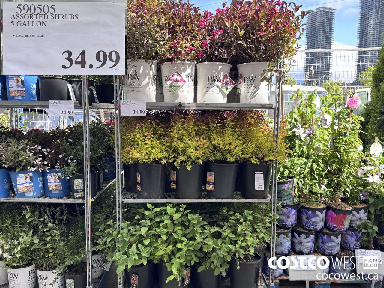 590505 ASSORTED SHRUBS 5 GALLON $34.99