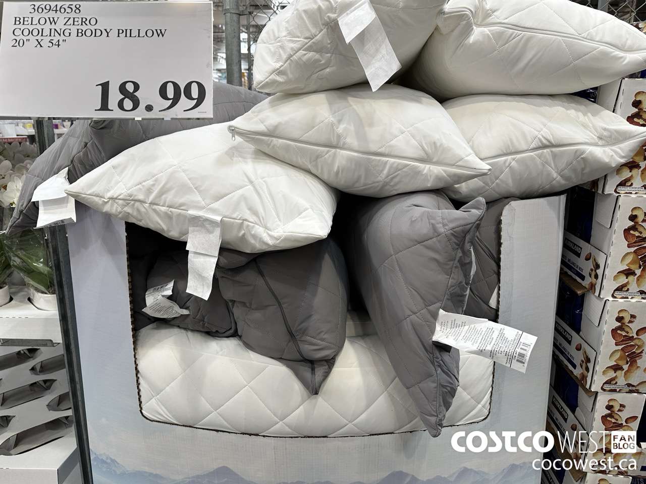 3694658 BELOW ZERO COOLING BODY PILLOW 20