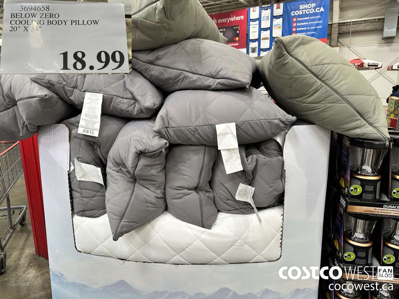 3694658 BELOW ZERO COOLING BODY PILLOW 20