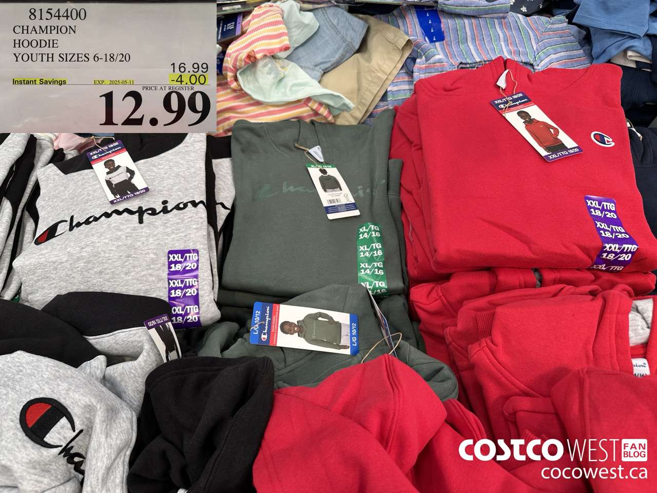 8154400 CHAMPION HOODIE YOUTH SIZES 16-18/20 ($4.00 INSTANT SAVINGS EXPIRES ON 2025-05-11) $12.99