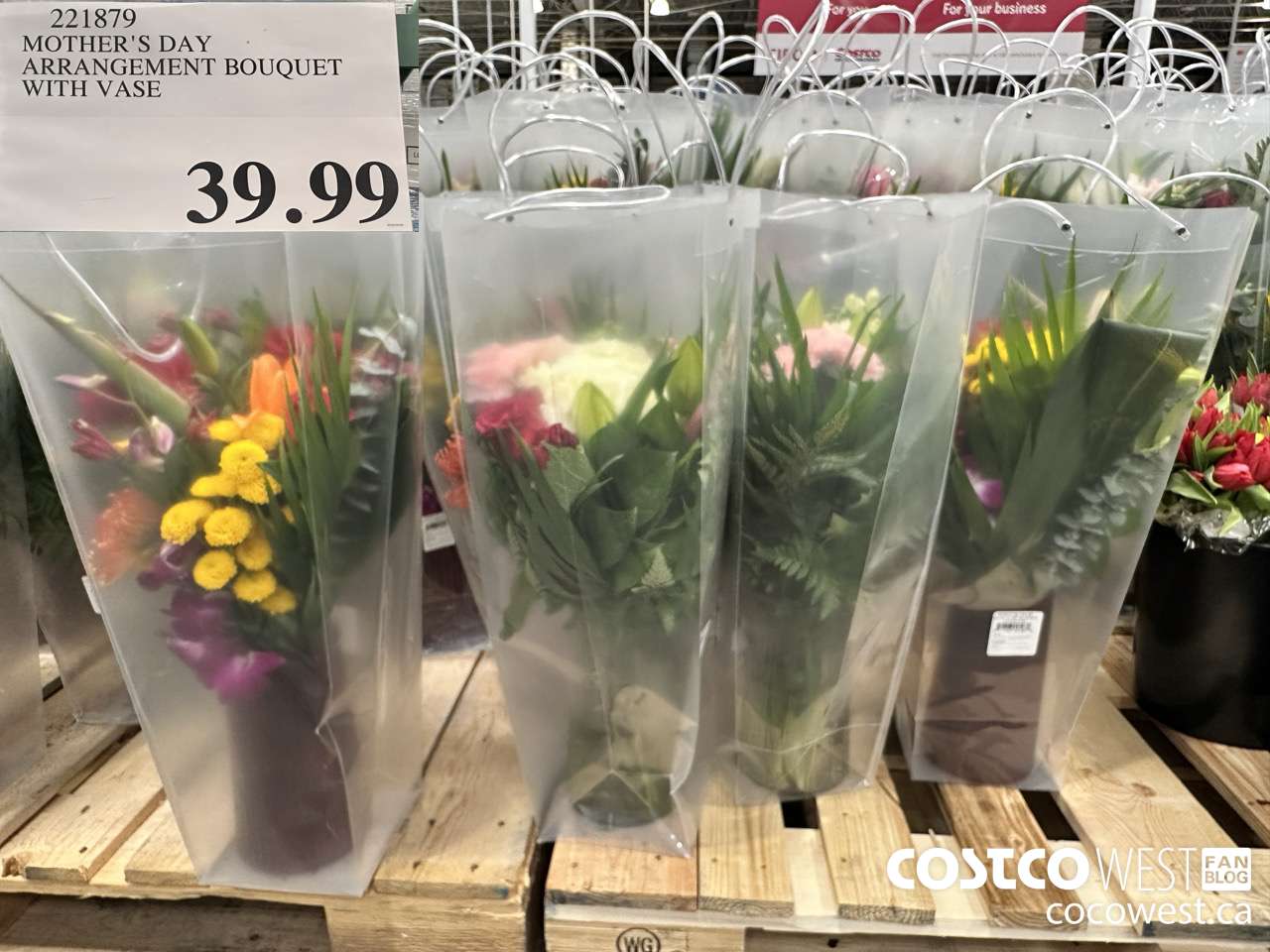 221879 DESIGNER BOUQUET WITH VASE $39.99