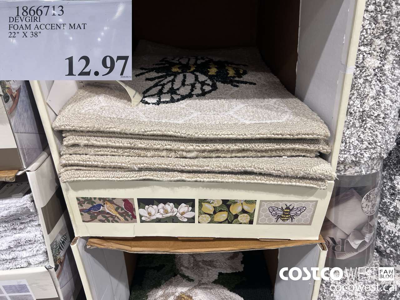 1866713 DEVGIRI FOAM ACCENT MAT 22