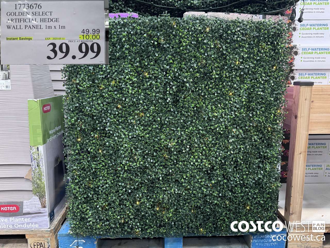 1773676 GOLDEN SELECT ARTIFICIAL HEDGE WALL PANEL 1M X 1M ($10.00 INSTANT SAVINGS EXPIRES ON 2025-05-11) $39.99