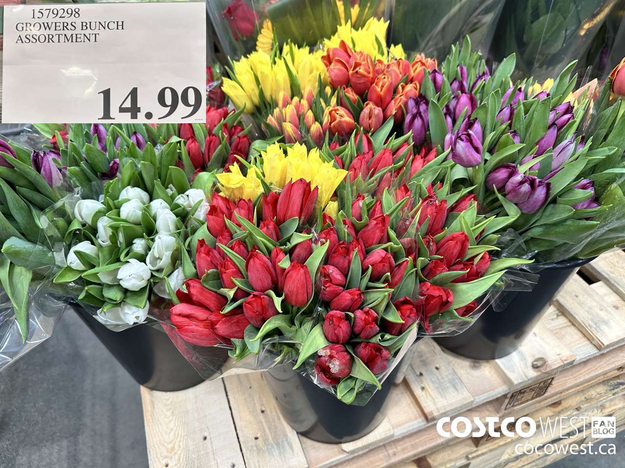 1579298 GROWERS BUNCH ASSORTMENT $14.99