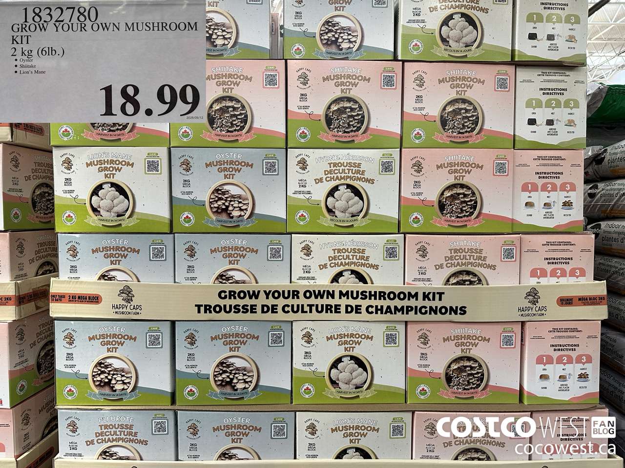 1832780 GROW YOUR OWN MUSHROOM KIT 2 KG (6LB) $18.99