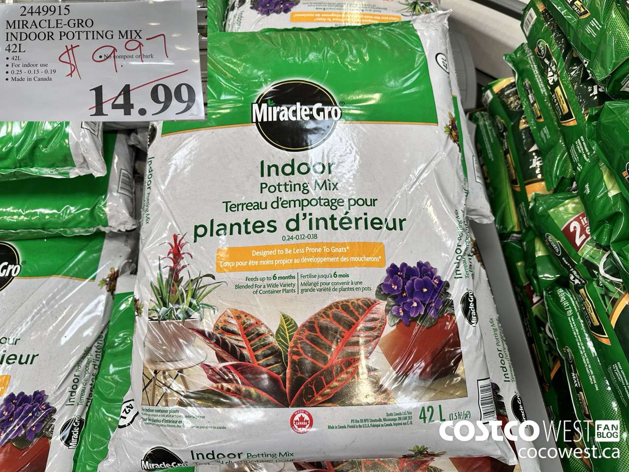 2449915 MIRACLE-GRO INDOOR POTTING MIX 42L $9.97