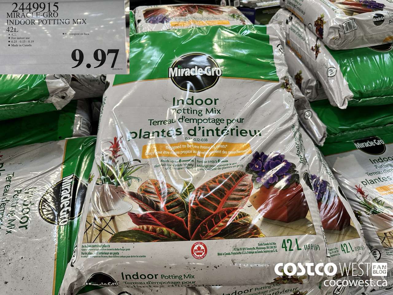 2449915 MIRACLE-GRO INDOOR POTTING MIX 42L $9.97