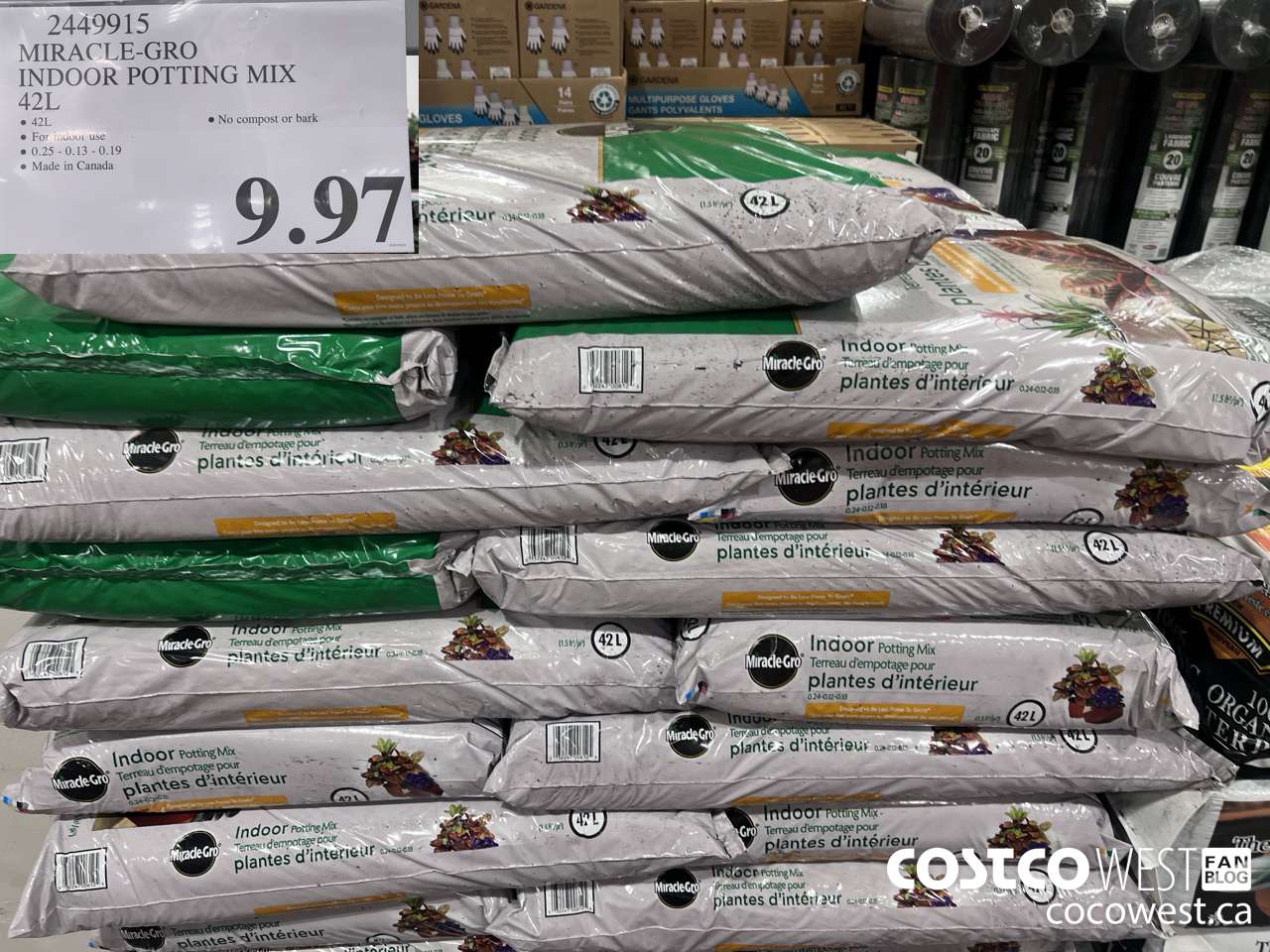 2449915 MIRACLE-GRO INDOOR POTTING MIX 42L $9.97