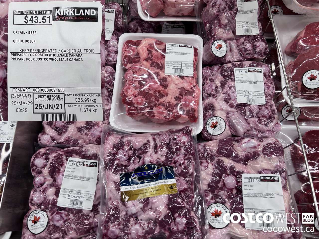 91655 OXTAIL BEEF $25.99