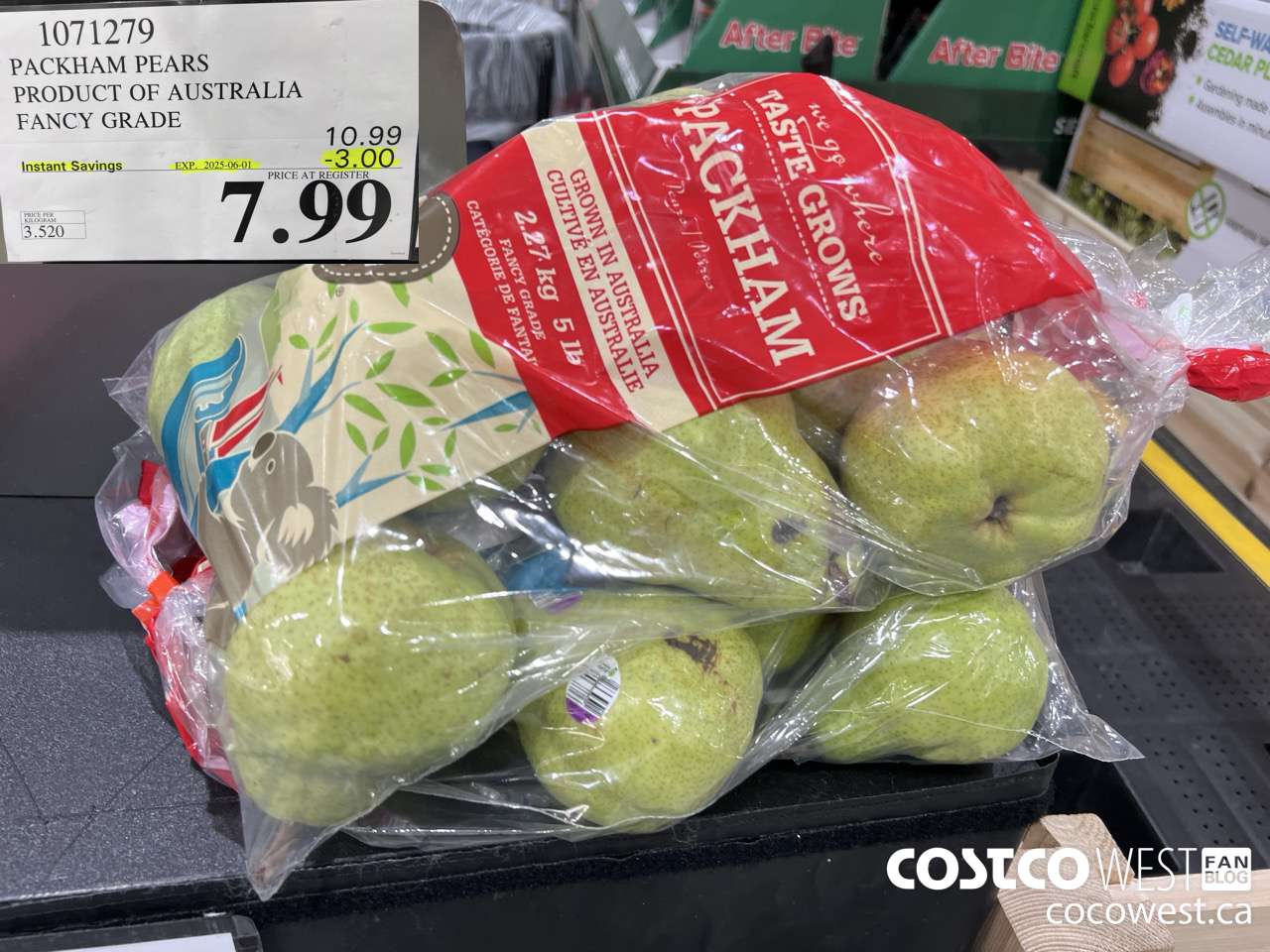 1071279 PACKHAM PEARS PRODUCT OF AUSTRALIA FANCY GRADE ($3.00 INSTANT SAVINGS EXPIRES ON 2025-06-01) $7.99