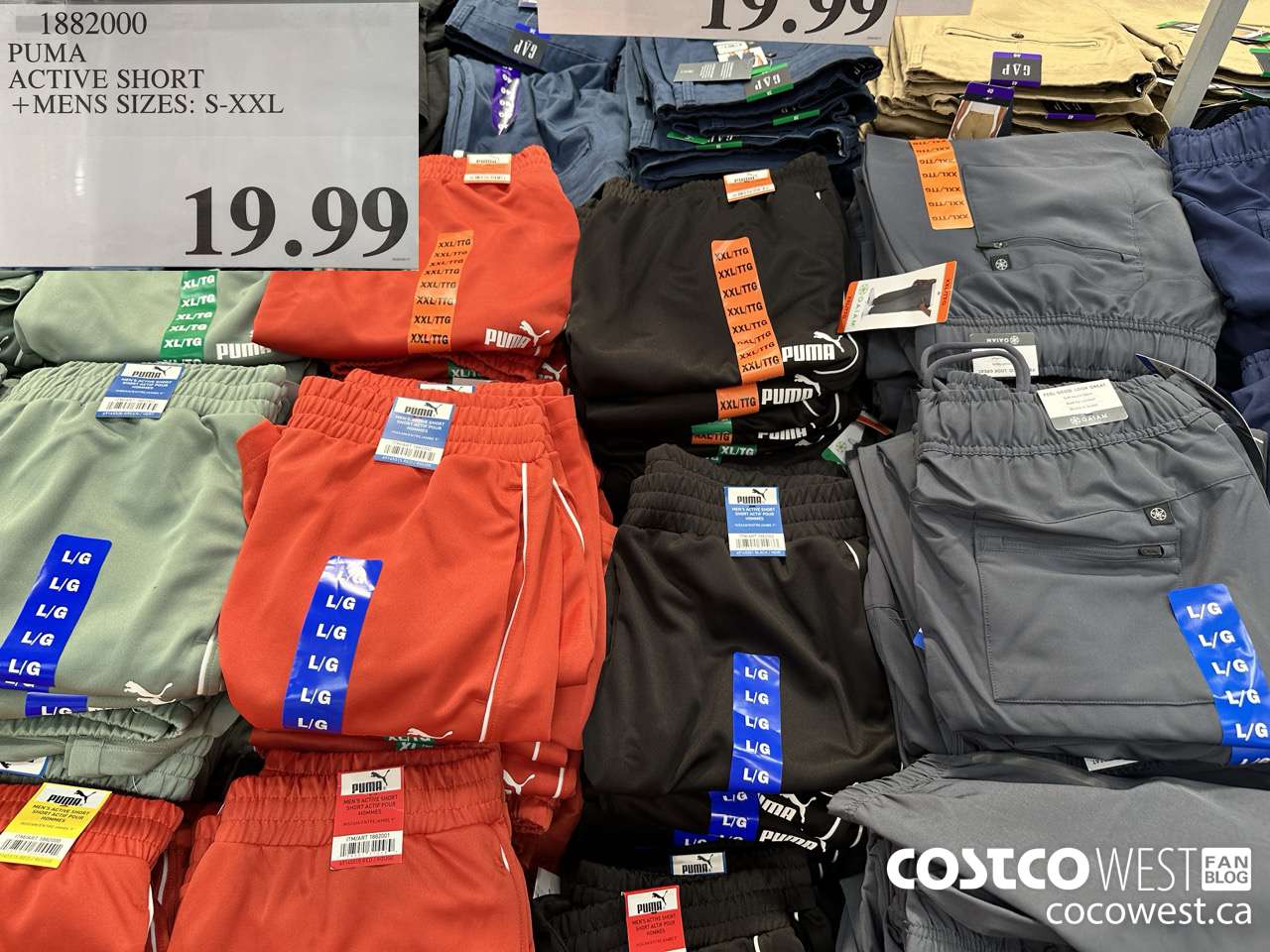 1882000 PUMA ACTIVE SHORT MENS SIZES S-XXL $19.99