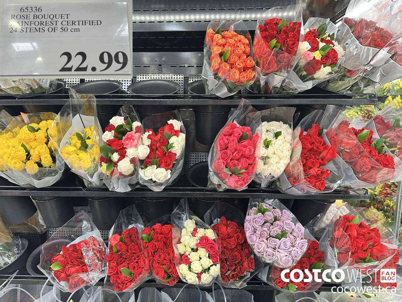 65336 ROSE BOUQUET RAINFOREST CERTIFIED 24 STEMS OF 50 cm $22.99