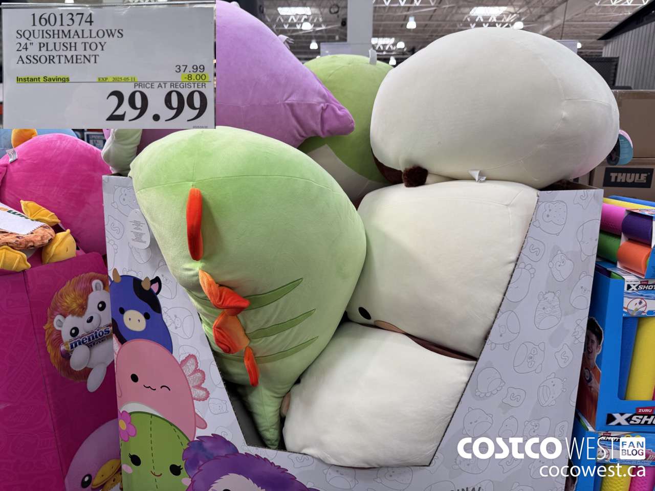 1601374 SQUISHMALLOWS 24