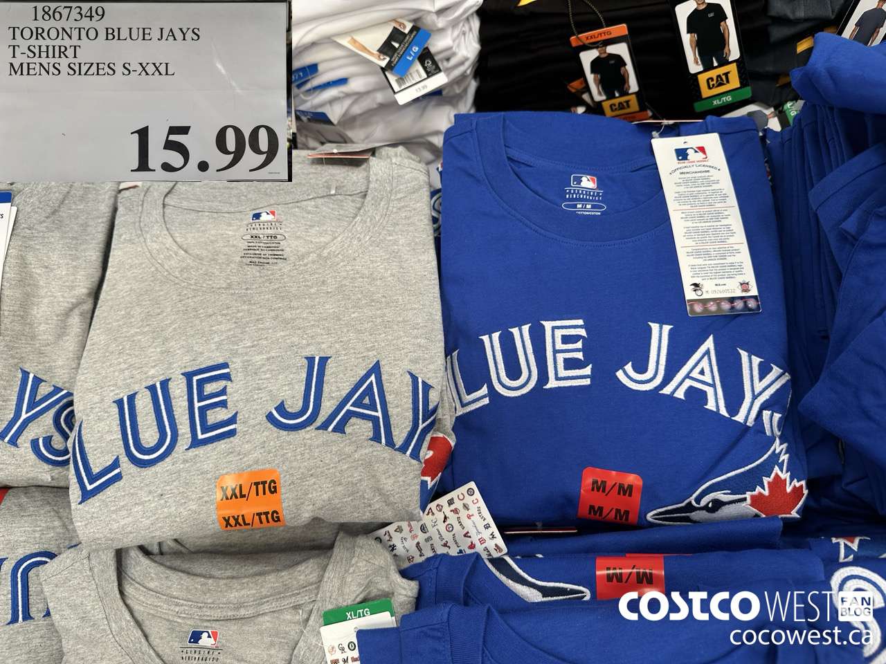 1867349 TORONTO BLUE JAYS T-SHIRT MENS SIZES S-XXL $15.99