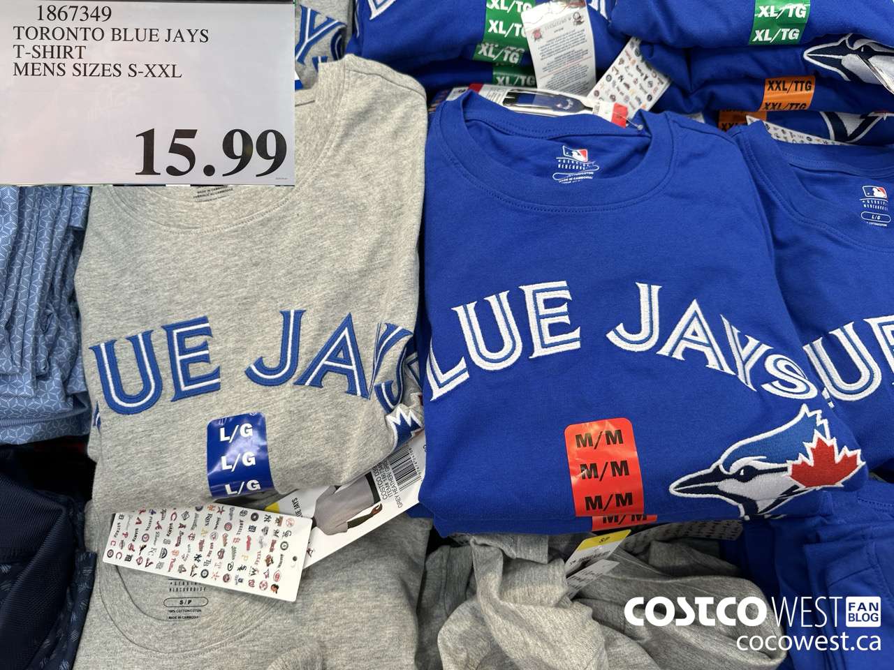 1867349 TORONTO BLUE JAYS T-SHIRT MENS SIZES S-XXL $15.99