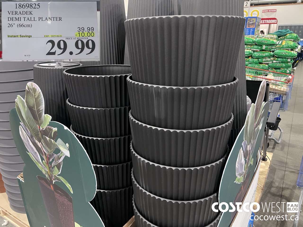 1869825 VERADEK DEMI TALL PLANTER 26