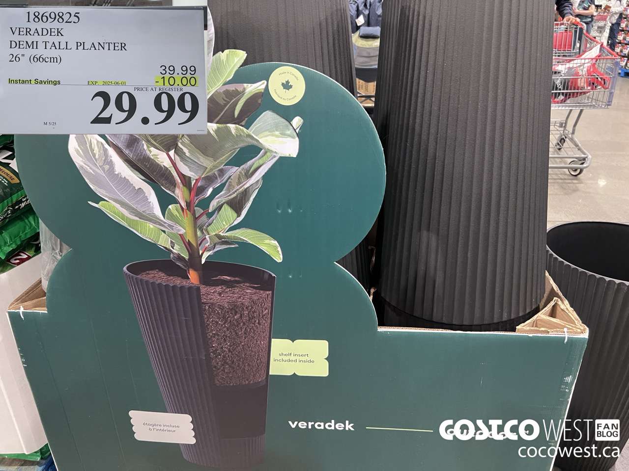 1869825 VERADEK DEMI TALL PLANTER 26