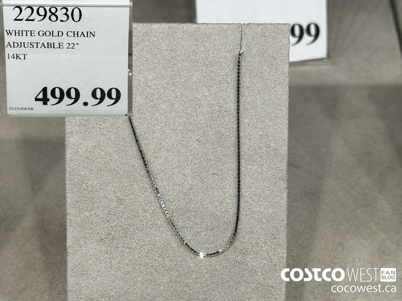 229830 WHITE GOLD CHAIN ADJUSTABLE 22