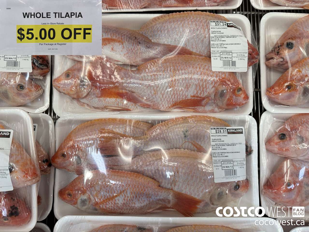 22202 WHOLE TILAPIA (FARMED) ($5.00 INSTANT SAVINGS)