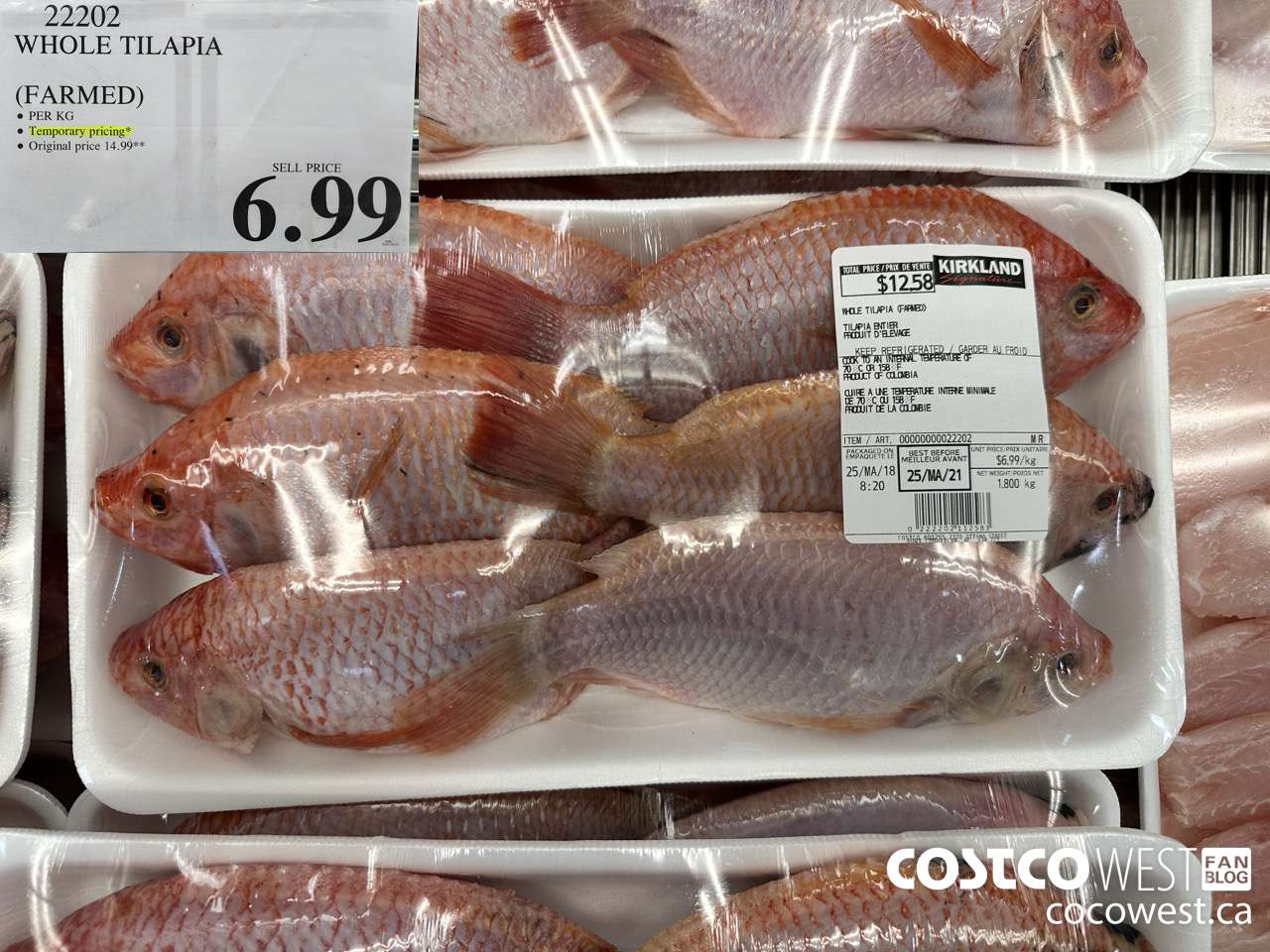 22202 WHOLE TILAPIA (FARMED) $6.99