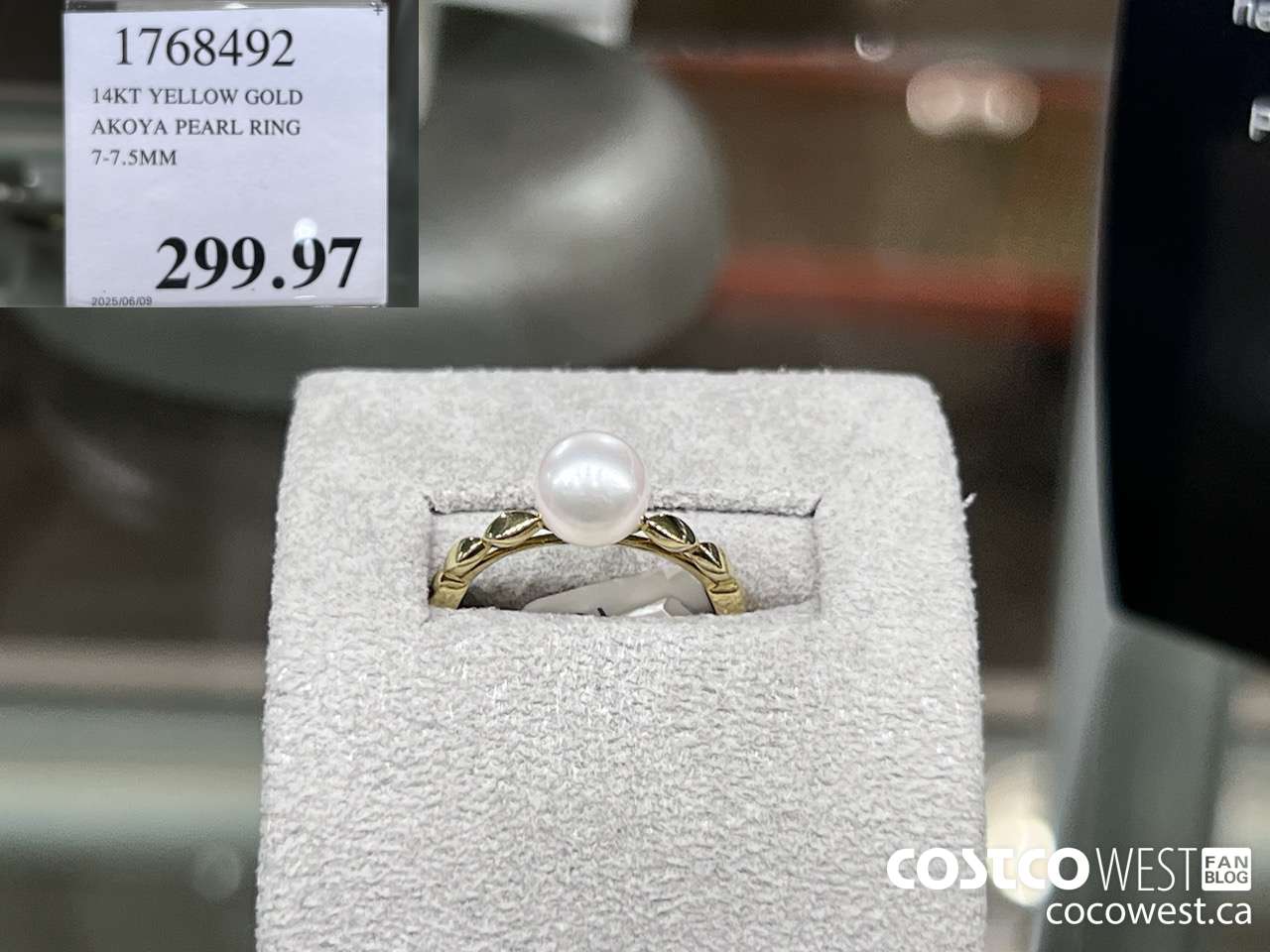 1768492 14KT YELLOW GOLD AKOYA PEARL RING 7-7.5MM $299.97