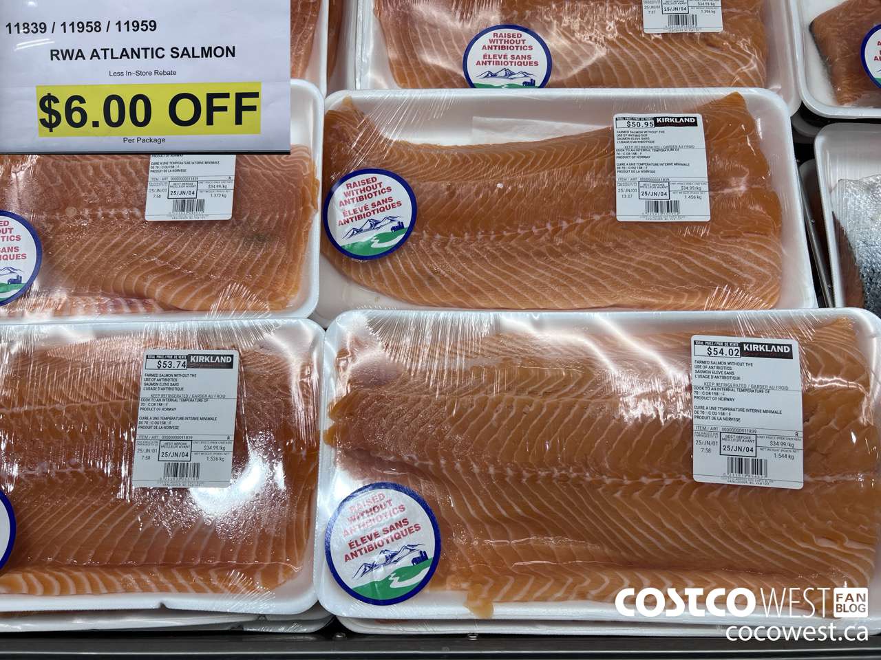 11839 (ALSO 11958 AND 11959) RWA ATLANTIC SALMON ($6.00 INSTANT SAVINGS)