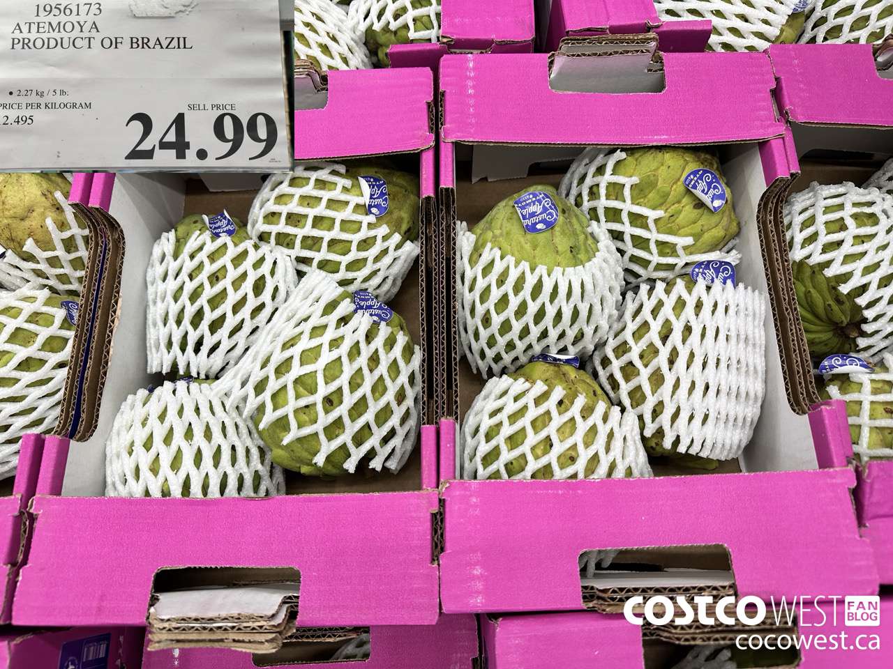 1956173 ATEMOYA PRODUCT OF BRAZIL $24.99