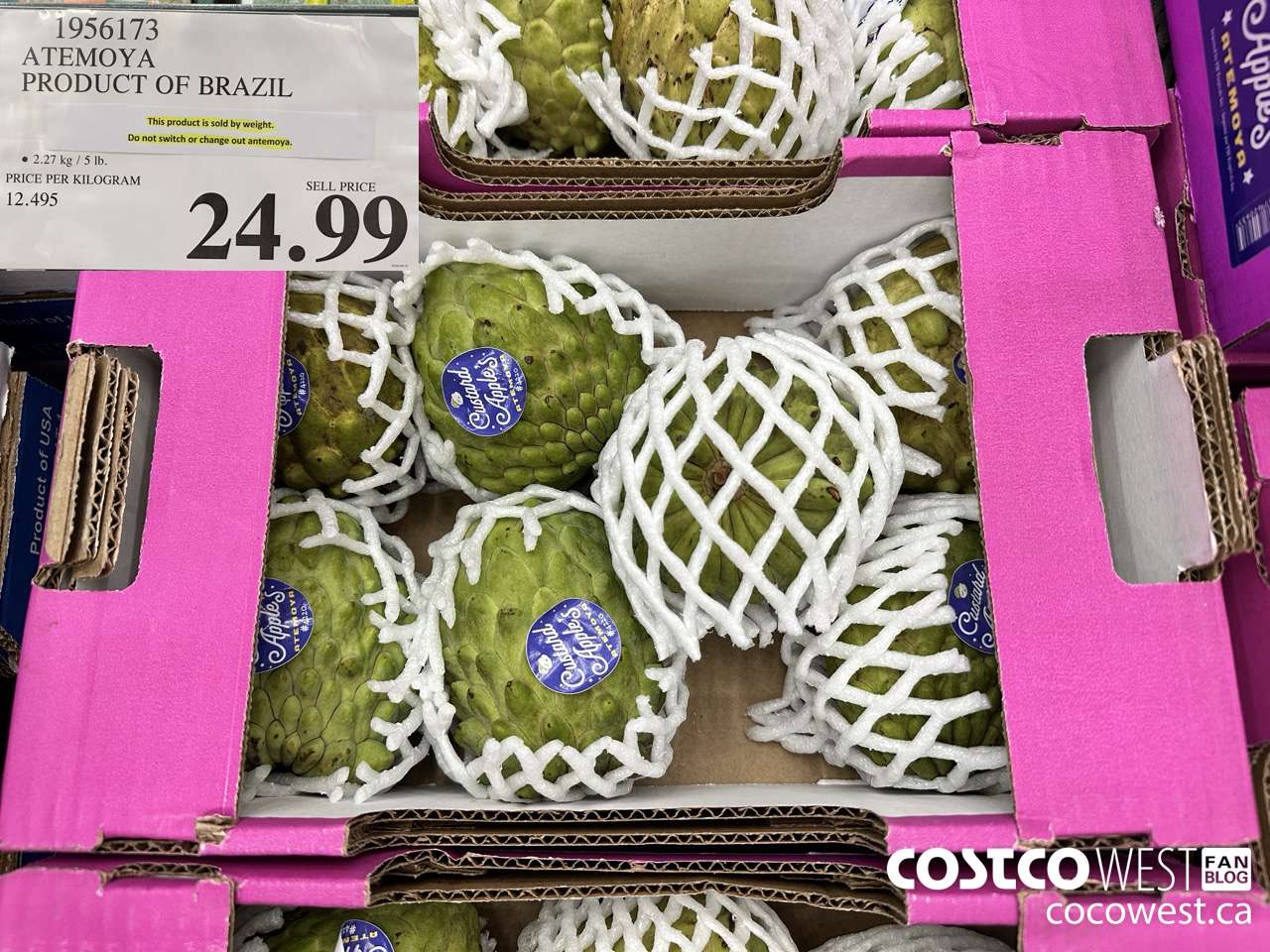 1956173 ATEMOYA PRODUCT OF BRAZIL $24.99