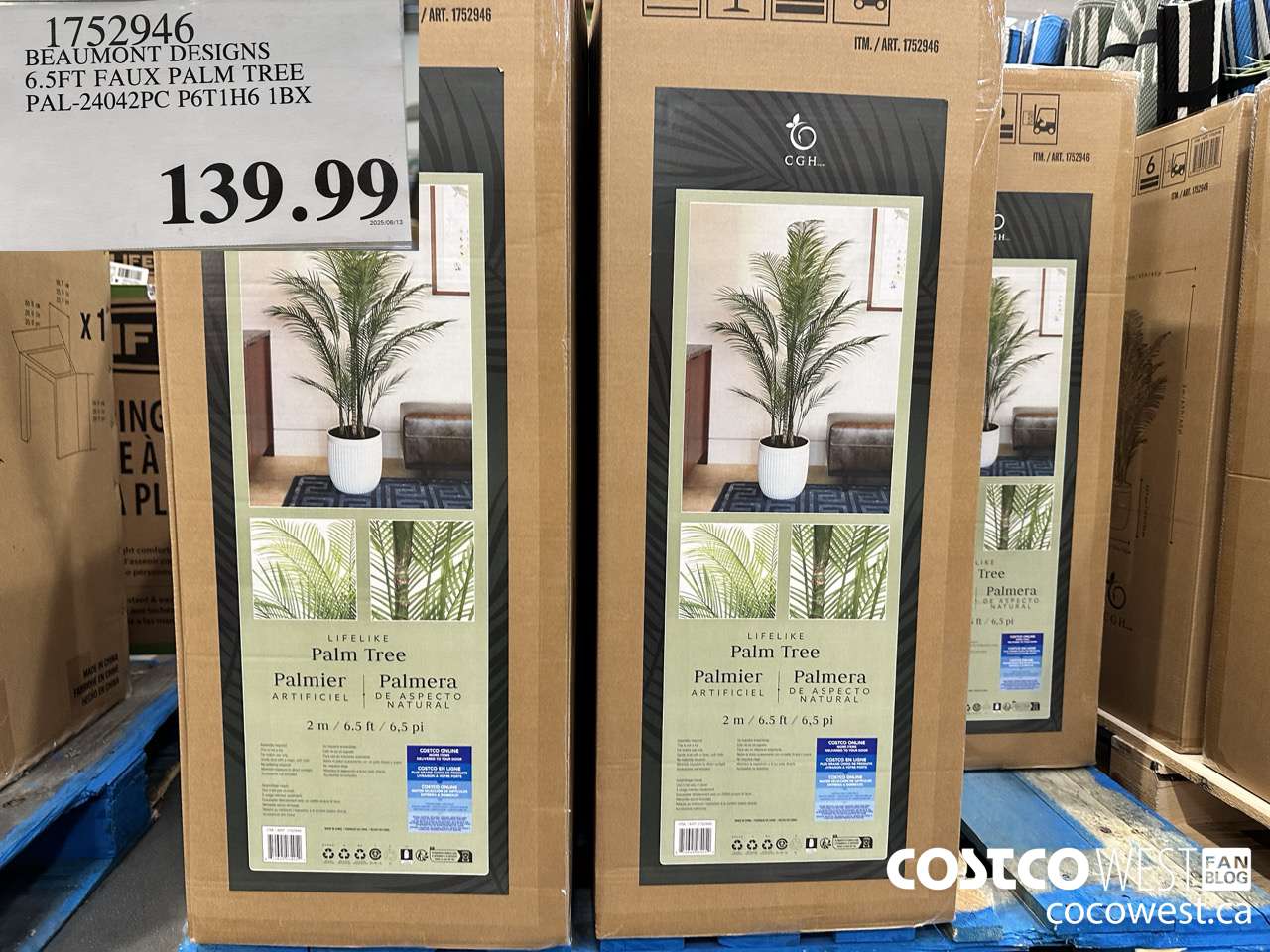 1752946 BEAUMONT DESIGNS 6.5FT FAUX PALM TREE PAL-24042PC P6TH6 1BX $139.99