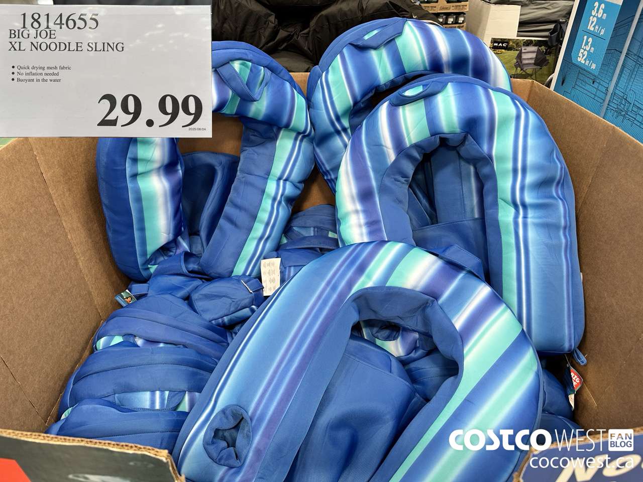 1814655 BIG JOE XL NOODLE SLING $29.99