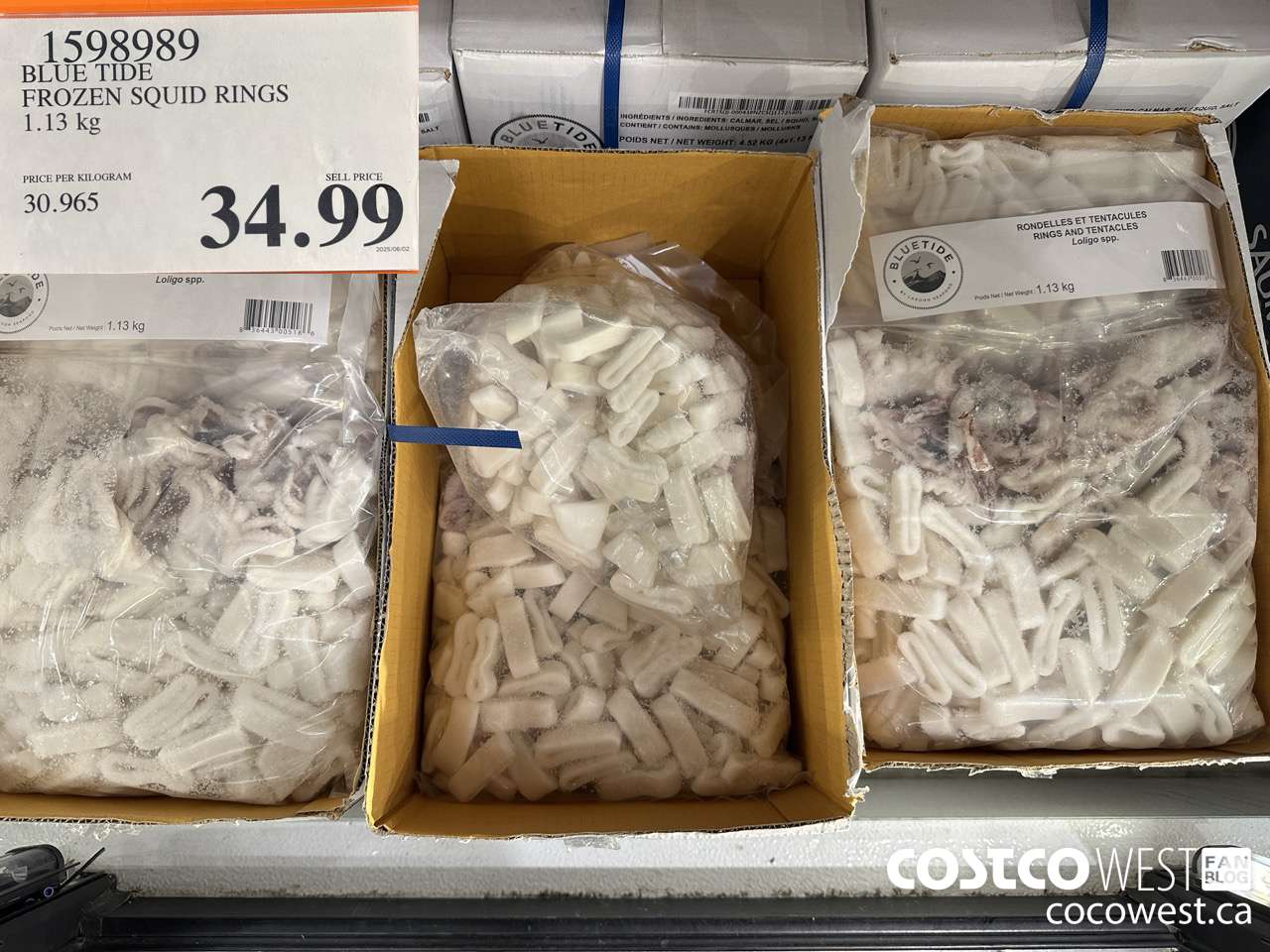 1598989 BLUE TIDE FROZEN SQUID RINGS 1.13KG $34.99