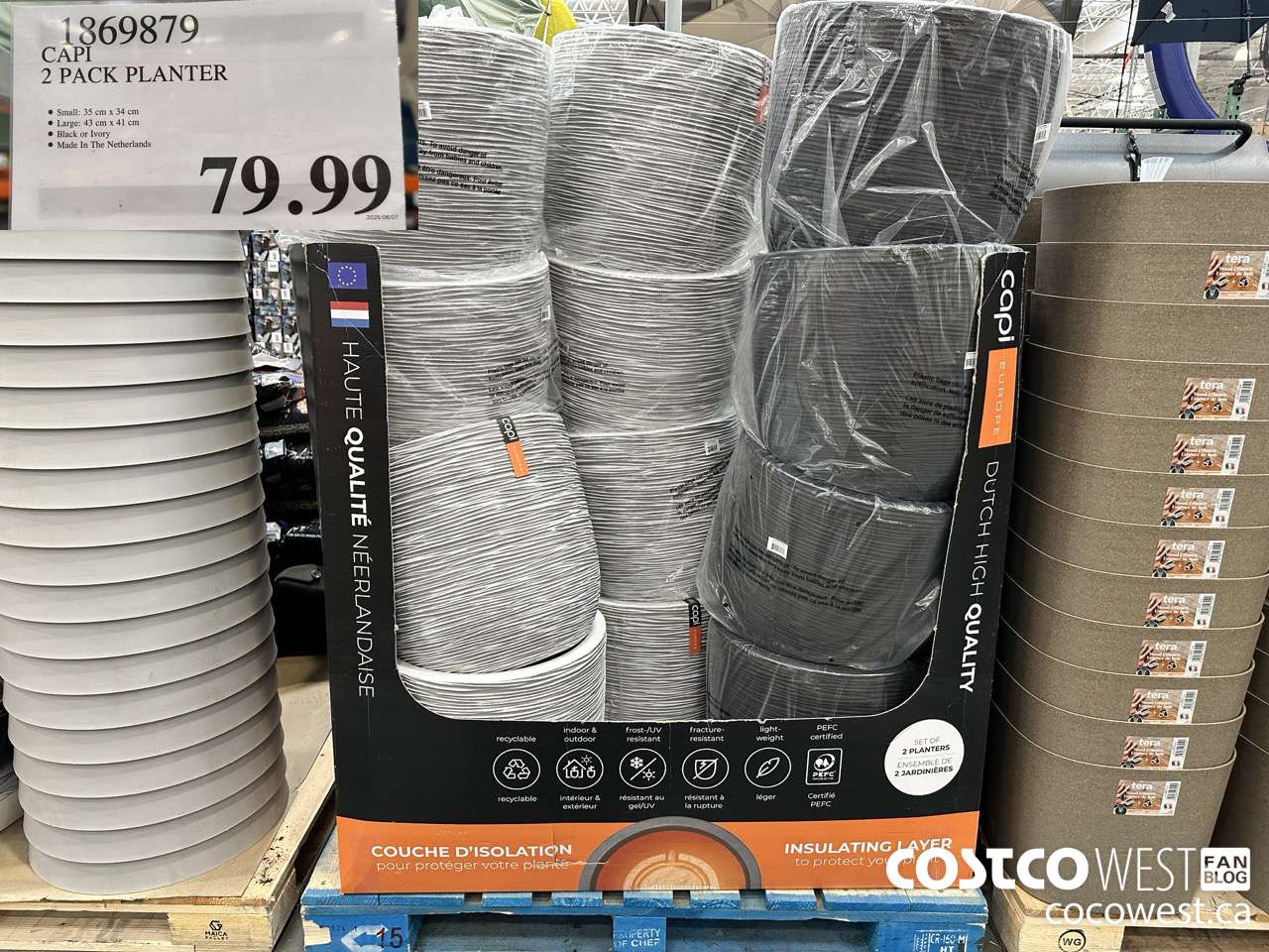 1869879 CAPI 2 PACK PLANTER $79.99