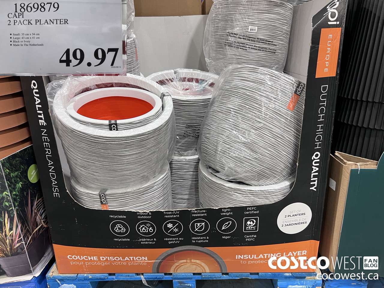 1869879 CAPI 2 PACK PLANTER $49.97