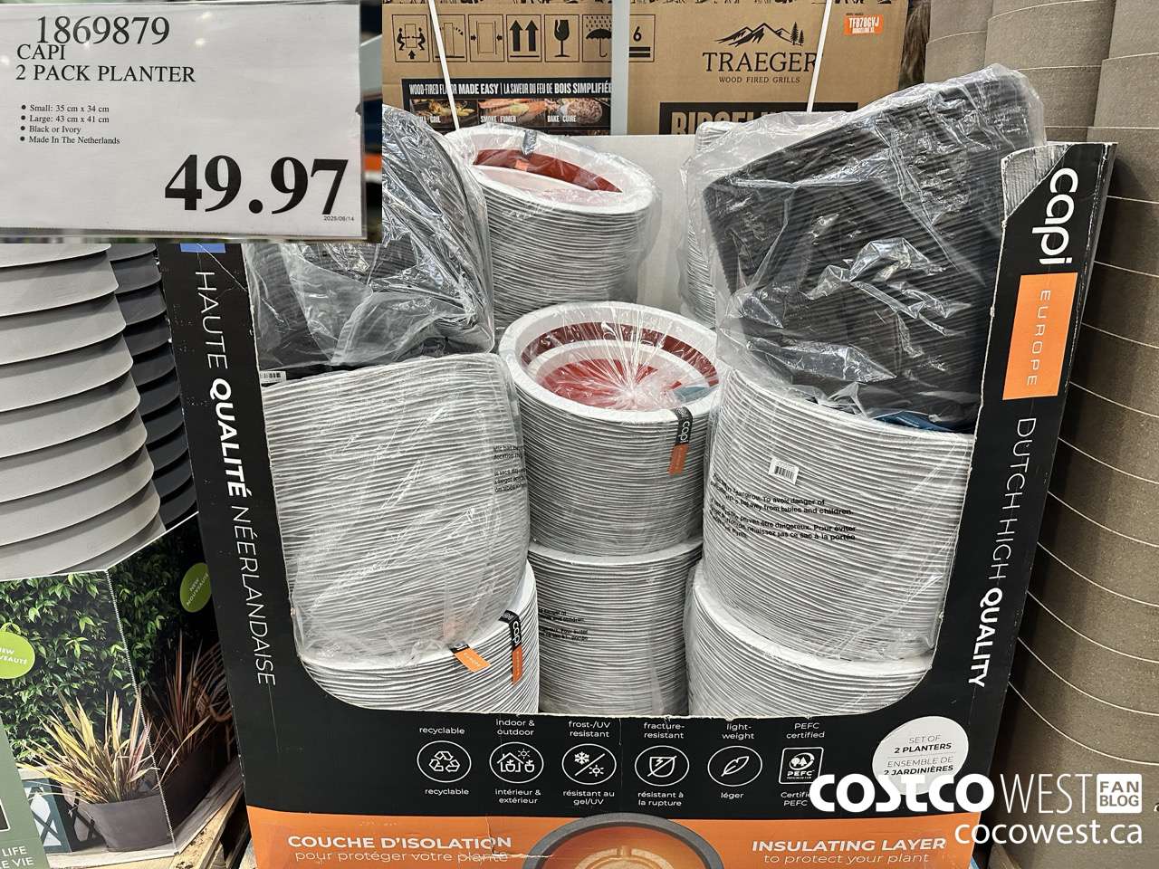 1869879 CAPI 2 PACK PLANTER $49.97