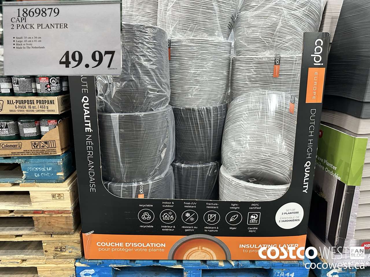 1869879 CAPI 2 PACK PLANTER $49.97