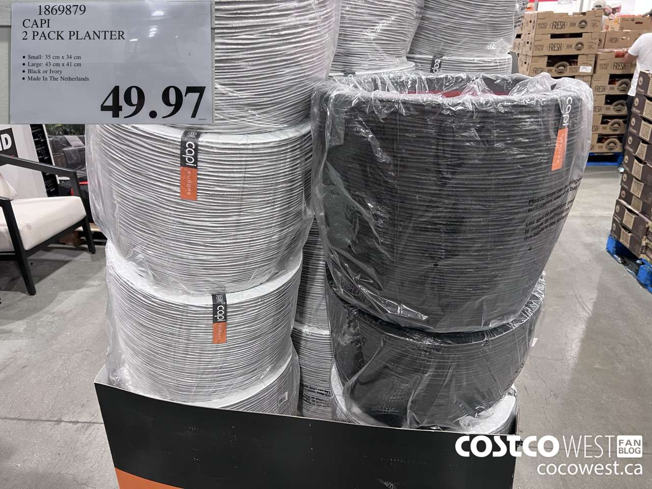 1869879 CAPI 2 PACK PLANTER $49.97