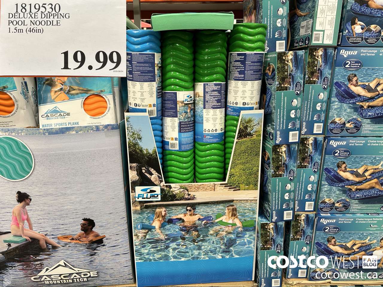 1819530 DELUXE DIPPING POOL NOODLE 1.5M (46IN) $19.99