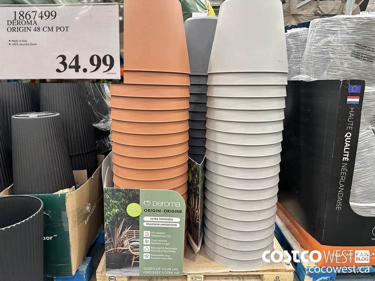 1867499 DEROMA ORIGIN 48 CM POT $34.99