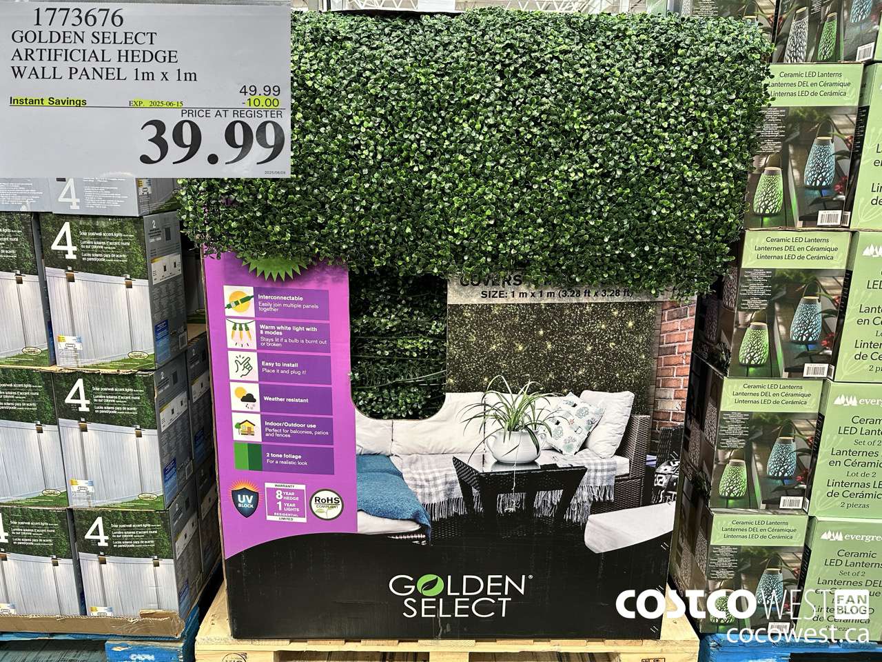 1773676 GOLDEN SELECT ARTIFICIAL HEDGE WALL PANEL 1M X 1M ($10.00 INSTANT SAVINGS EXPIRES ON 2025-06-15) $39.99