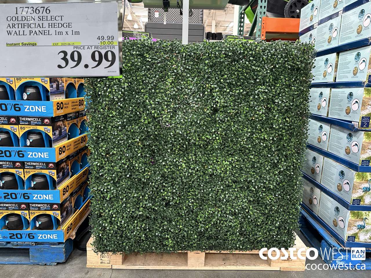 1773676 GOLDEN SELECT ARTIFICIAL HEDGE WALL PANEL 1M X 1M ($10.00 INSTANT SAVINGS EXPIRES ON 2025-06-15) $39.99