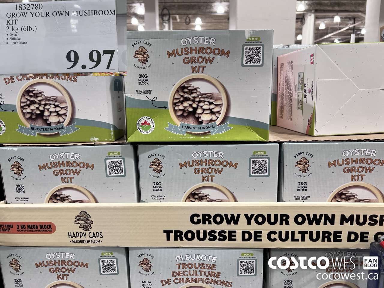 1832780 GROW YOUR OWN MUSHROOM KIT 2 KG (6LB) $9.97