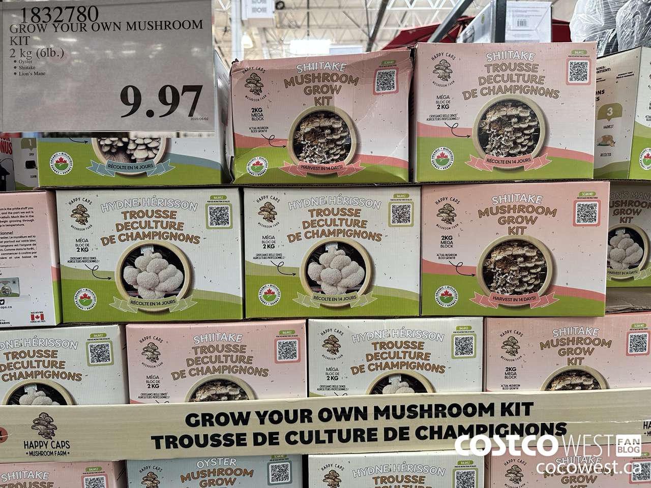 1832780 GROW YOUR OWN MUSHROOM KIT 2 KG (6LB) $9.97