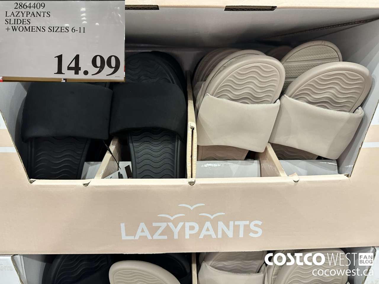 2864409 LAZYPANTS SLIDES WOMENS SIZESS 6-11 $14.99